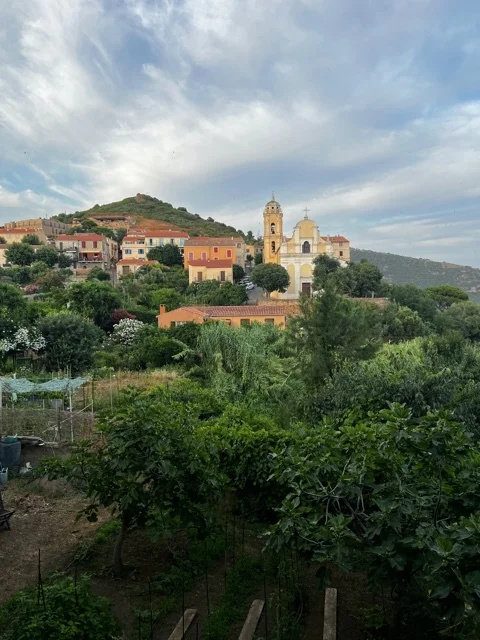 Vendre en viager en Occitanie - Expert a Toulouse